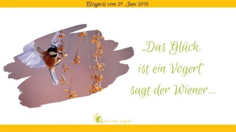 "Das Glück ist ein Vogerl“ sagt der Wiener…