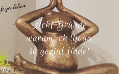Rani Yoga – Acht Gründe warum ich Yoga genial finde!