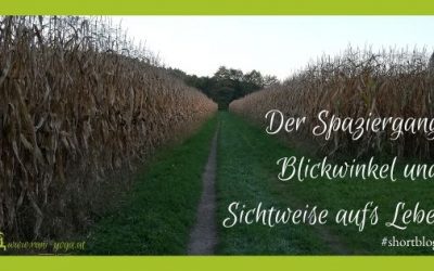 Blickwinkel #shortblog