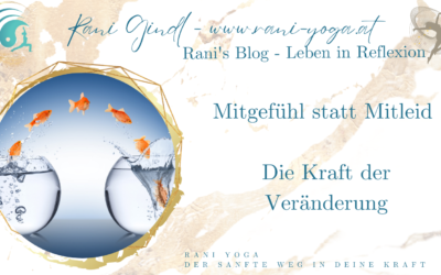 Was ich aus Krisen gelernt habe – Mitgefühl statt Mitleid – Die Kraft der Veränderung