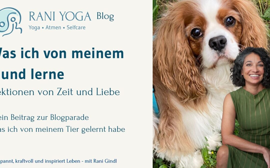 Was ich von meinem Hund lerne – Lektionen von Zeit und Liebe
