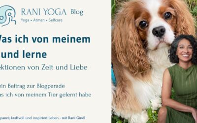 Was ich von meinem Hund lerne – Lektionen von Zeit und Liebe