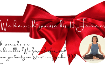 Frohe Weihnachten & ein schönes neues 2021