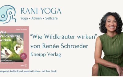 Wie Wildkräuter wirken: Meine Empfehlung für ein wunderschönes Kräuterbuch